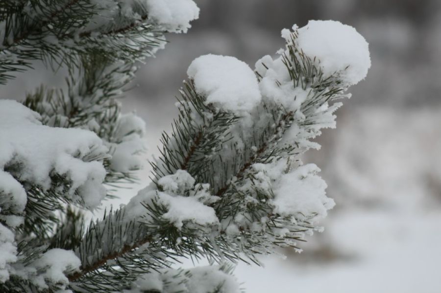 ����� ��������, ����� ������ ����������� � ����� �� ����� ����������