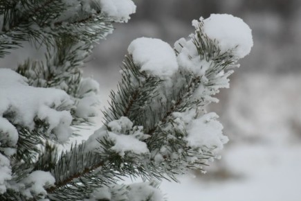 ����� ��������, ����� ������ ����������� � ����� �� ����� ����������