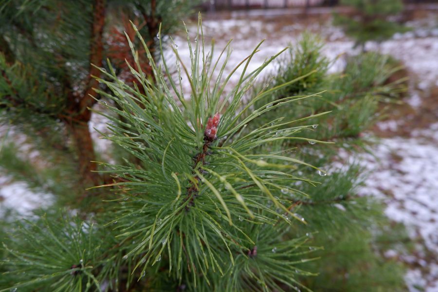 ������� ����� � �������� ����������, ���� ����� ����� ���� ����� ����������