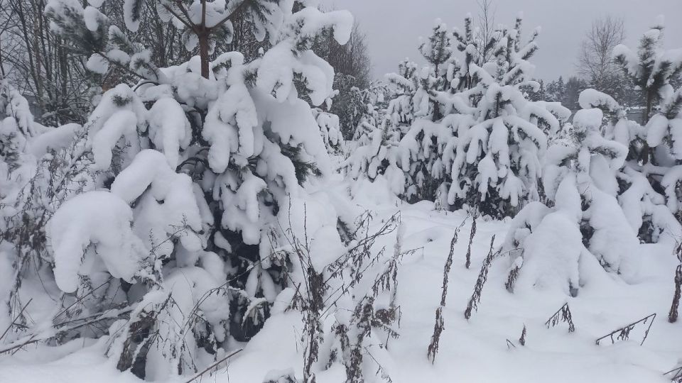 ��������� ������� � �������� ����