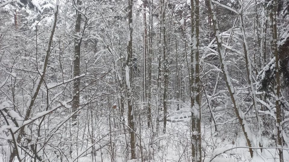 ��������� ������������� ������� �������� ������� � ������� ������