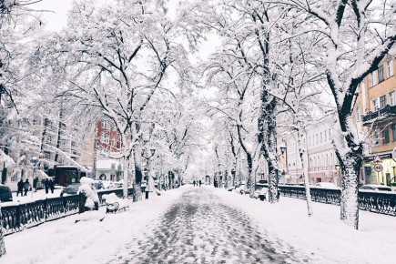 ����, ����� � ����� ����: ������� ������ � ����� �� ������