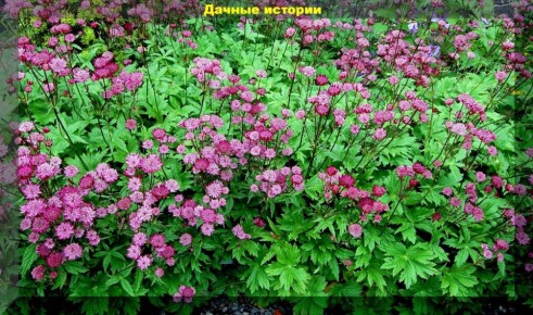 ��������� ������������ ��� ������ ���� �� ����