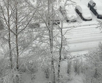 � �������� ������� �� ����� ������ ����� ���������� �����