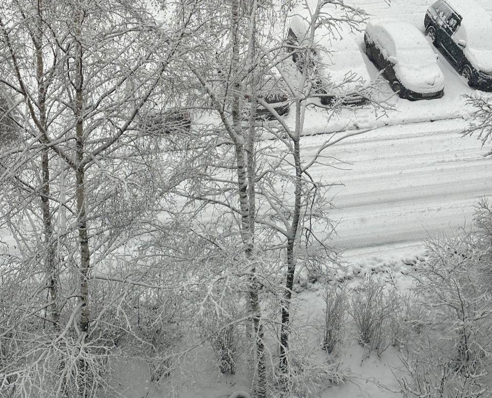 В Тверской области за сутки выпала треть январского снега