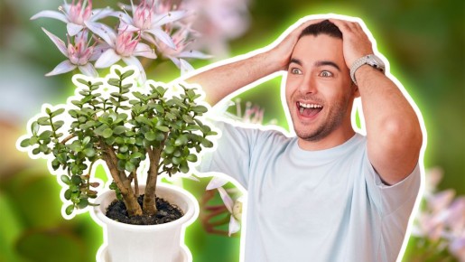 �������� �������� ������ �������� ������ �������: ������� ������� �����