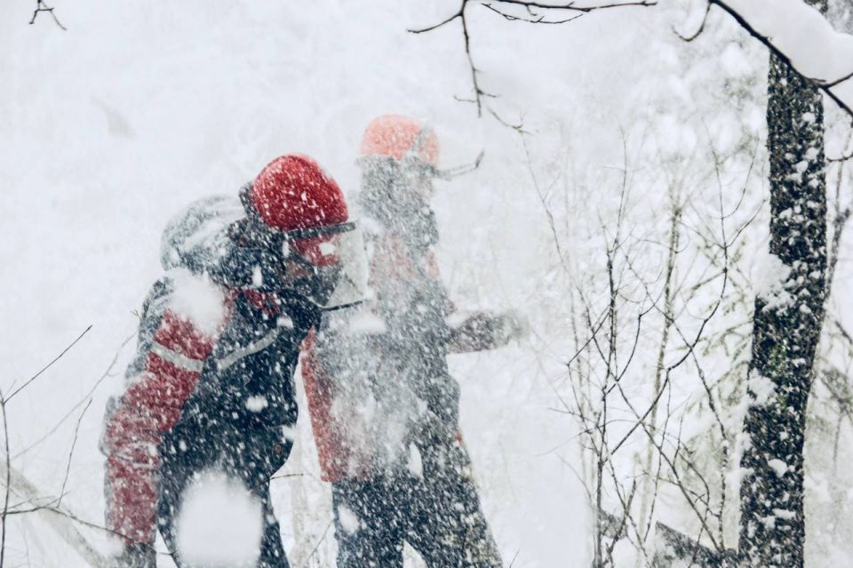 �������� ��������������� ���������������� � ��������, ������������ �� ��������