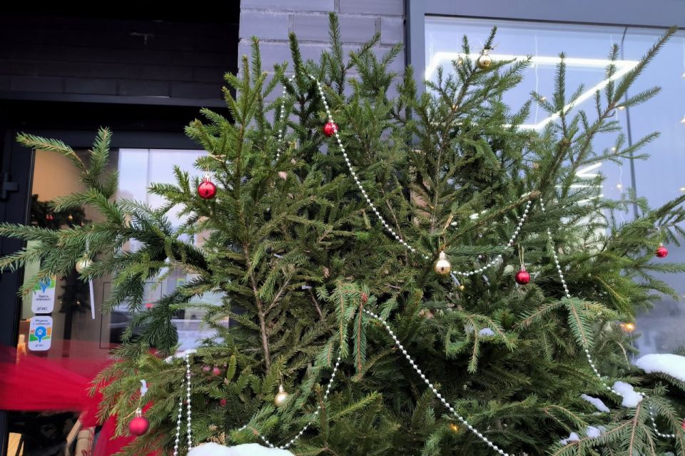 ����� ����� ��������, ���� ��������� ���� � �������� ���������?