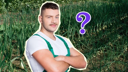 �������� ���, ���� ��� �� ������� ����� �����: ������ ����� ��� �� ������