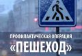 С 12 по 15 января на территории города Твери сотрудниками Госавтоинспекции будет проводиться профилактическое мероприятие «Пешеход»