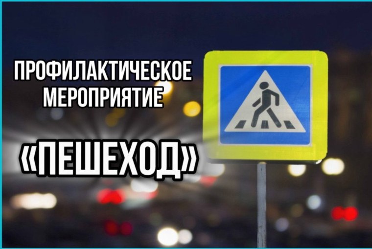 На территории города Твери в период с 01 по 11 января 2026 года было проведено профилактическое мероприятие «Пешеход»