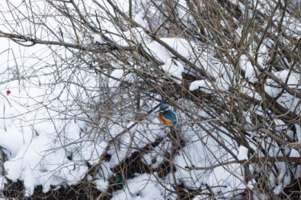 ��� ���� � � ���� ��������� ������: ������� �������� �������, ������� �� ���������