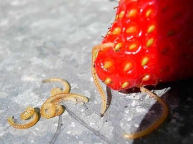 �������� ��� �����: ��� ���������� � ������������� ����� ������ ������