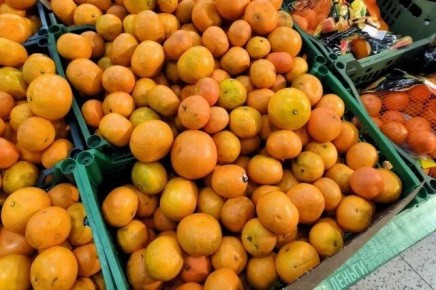 ��� ������� � ��������� ������ ��������� � ����������� �����