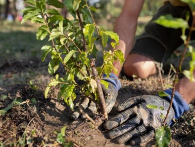 ������� ��� ���: ��� ���������� ������������� �������� ��� ������ ������