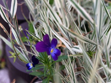 ���������� ���������: ��������� ������� ��� ����� �������� � ����������������