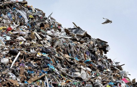 �������������� ������������ ������� ����� 24 ���