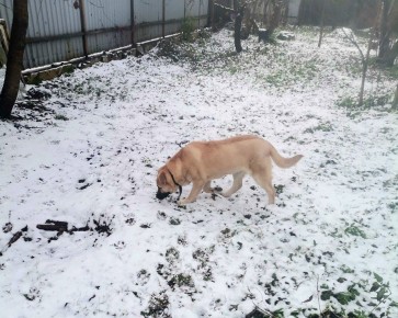 ������� ���������, ��� ������� ������ �����