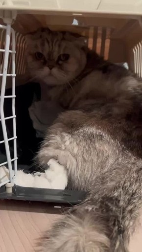 � ����� ��������� ����������� ������� ���������� � ������� ���������� �����