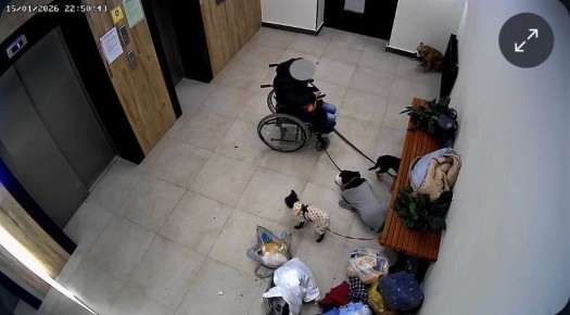 ������ ���� � ����� �������� ����� � �����, ����������� � ��������