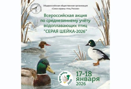 ���� ������� �������� ������� ���������� ������� ������� � ������������� �����