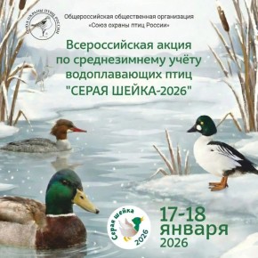 17 � 18 ������ �� ���� ������ �������� ������������� ������������� ����� �� ������������� ����� ������������� ���� ������ ����� � 2026�