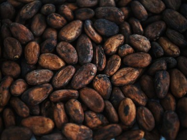 ���� �� �����: ���������� ���� �� ���� ������������� ��������� �� �����