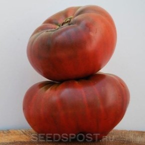 ��� ����: ����� ������ �� ���������� ������