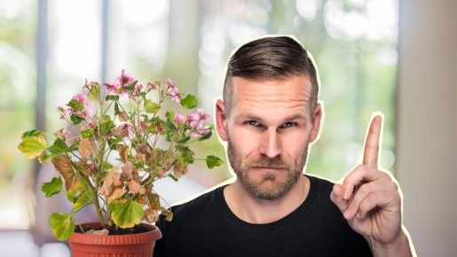 ��� ����� �������� ������: ��� �������� �������� ������� �� � ��� �����