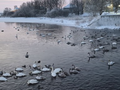 ���� ������� ������ ��� �������� �������� �� ���� ������ � ������� �������� �������