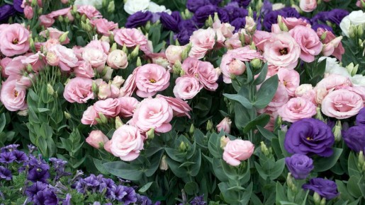 �������: ������ �������� � ������� � ����� ����