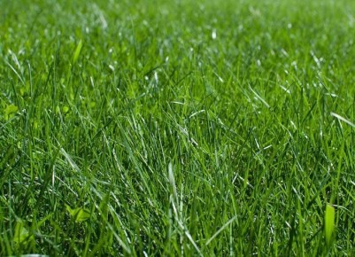 ��� ������ ����� �� �������� ���������: ������������ ������ ��� ��������