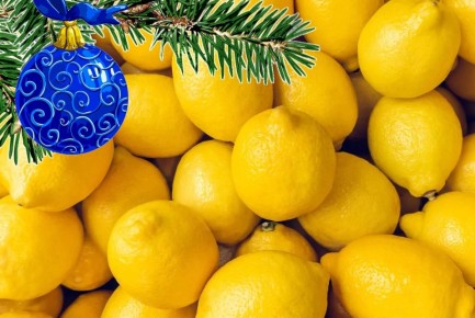 ������: ��� ��������� ��������� �� ������� ������������ ��� ��������