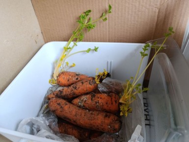 ������ ��� ������ �����: ����������� ������ � �������� ����� ����