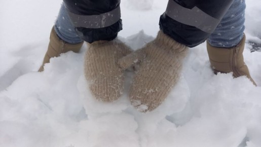 ���������� ������� ������� ������ �� ������� ���� � �������� �������