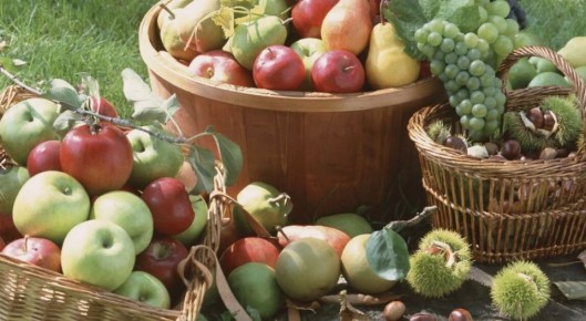 ����� ����� �������� ���: �������� �������� ��������� �����������