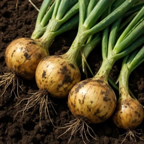 ����: ��������� ����� ��� ������ � ����