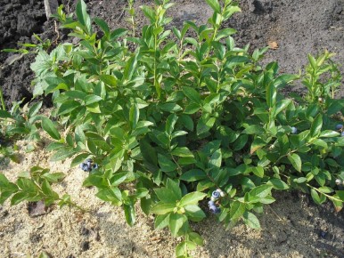 ��������: ��� �������� �������� ����� � ��������� ������?