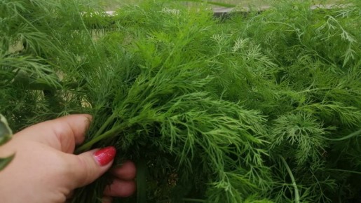 ������������ � �������� ���������: ��� ������� �������� ������ ����� �� �����