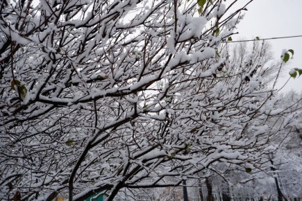 МЧС предупреждает об ухудшении погоды в Тверской области