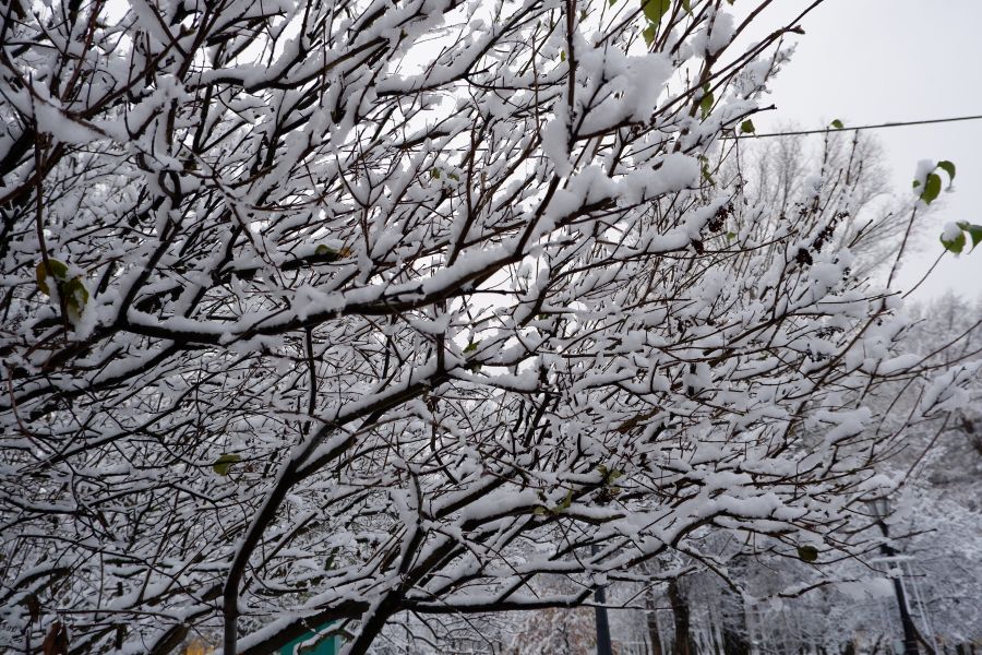 МЧС предупреждает об ухудшении погоды в Тверской области