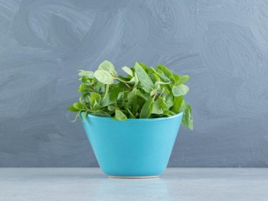 ���� � ����: ��� �������� ���������� � ������������ � �� ������