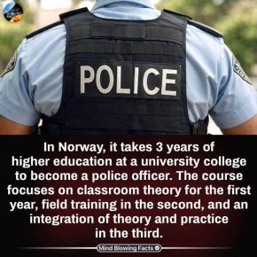 В Норвегии полицейские должны пройти строгую трехлетнюю программу в Норвежском полицейском университетском колледже, чтобы получить квалификацию