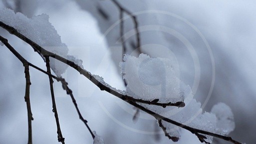 Морозы крепчают: в Тверской области похолодает до -24 градусов