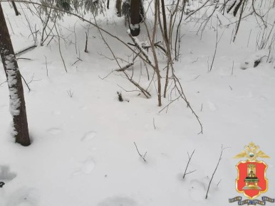 В Вышнем Волочке задержан распространитель синтетического наркотика