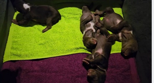 ������������ ����� ������ ������� �������� � �������� ������ ��������