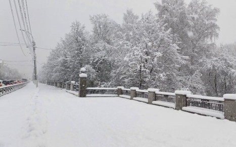 � �������� ������� �� ����� ������� ������� ������ ������� ���������