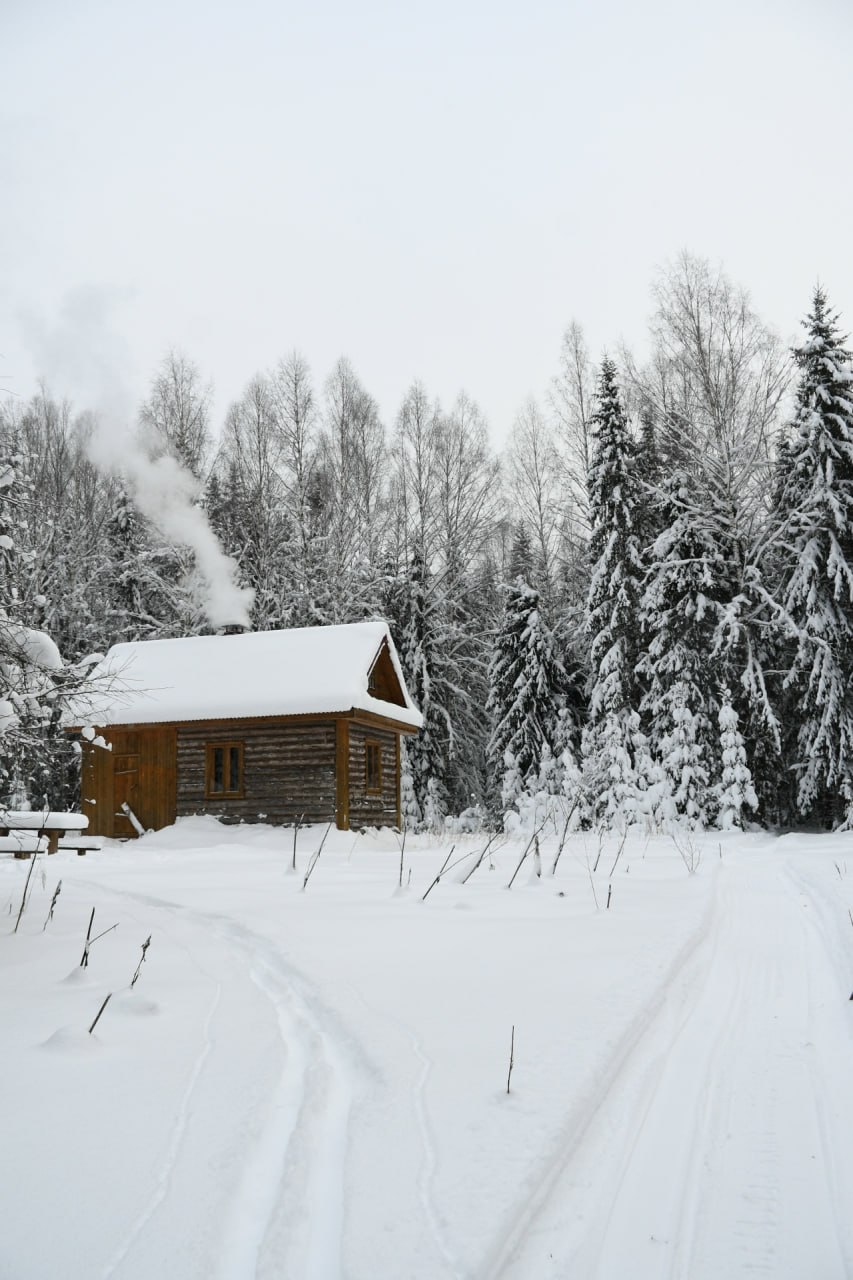 Болото, дикий лес и избушка: как в Тверской области девушка отдыхает от цивилизации