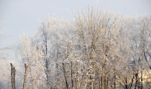 � �������� ������� ��������� ������� ��������