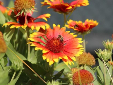 ����� ��� ������� ����: 5 ������������� ��������, ������� �� ��������� ������� ������